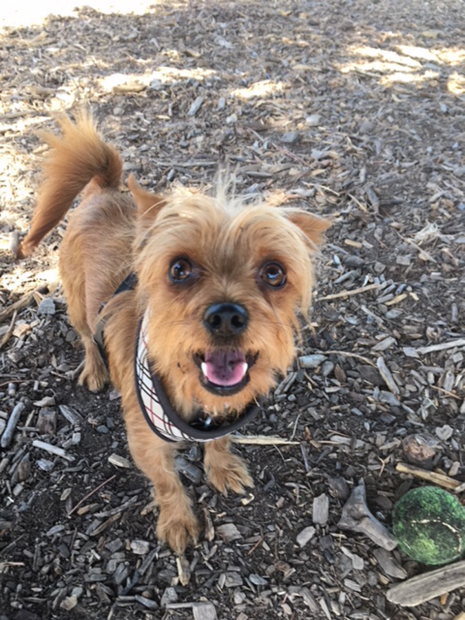 Ball park01 (1 of 1)