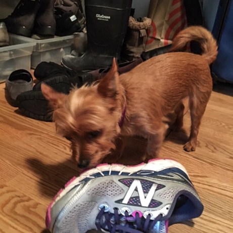 shoe detective (1 of 1)